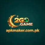 2GO Game logo