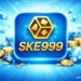 SKE999 Game